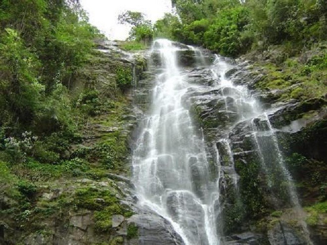 Menguak tabir Taman Nasional Pu Mat, provinsi Nghe An - ảnh 5