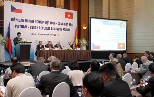 Kerjasama  antara Vietnam dan Republik  Czech masih  sangat potensial - ảnh 1