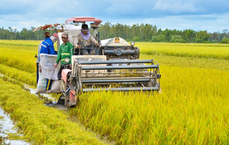 Mendorong penerapan teknologi tinggi pada produksi pertanian di subkawasan segi empat Long Xuyen - ảnh 1