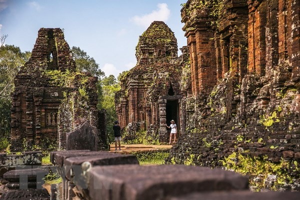 India membantu Vietnam menterjemahkan naskah dalam bahasa Sanskerta di atas  prasasti batu di  situs pusaka budaya  dunia My Son ke bahasa Vietnam - ảnh 1