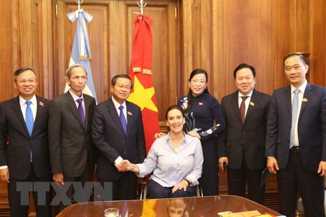 Viet Nam dan Argentina mendorong hubungan kemitraan strategis - ảnh 1