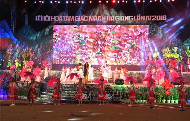 Pembukan Festival  Bunga Gandum Kuda-2018 di Daerah Dataran Tinggi  Karsta Dong Van - ảnh 1