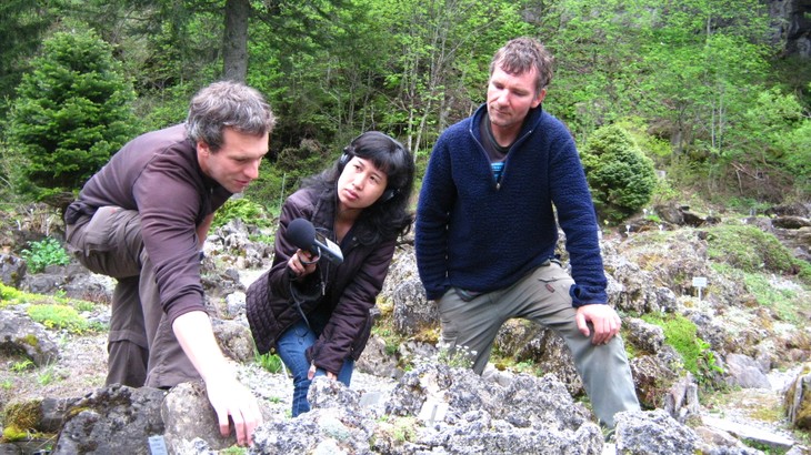 Changement climatique: certaines plantes souffrent, d’autres en profitent - ảnh 2