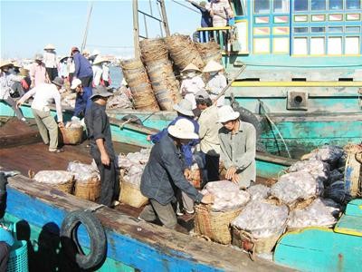 Réunion de la commission de la pêche d’Asie-Pacifique - ảnh 1