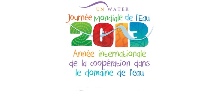 Ban Ki-moon appelle à une meilleure gestion de l'eau et à plus de coopération - ảnh 1