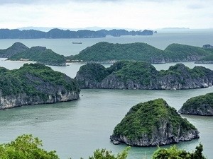 Inauguration de l'Année nationale du tourisme du delta du fleuve Rouge-Hai Phong  - ảnh 1