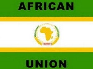 Le Vietnam fête le 50ème anniversaire de l’Union Africaine - ảnh 1