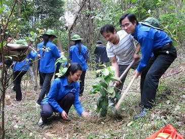 Lancement du projet “Les jeunes respectueux de l’environnement” - ảnh 1