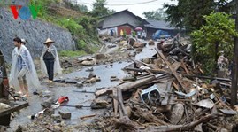 Vietnam, Japan exchange lessons on disaster prevention - ảnh 1