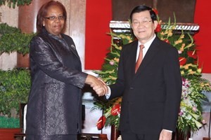 President Truong Tan Sang receives Angolan, Congolese ministers - ảnh 1