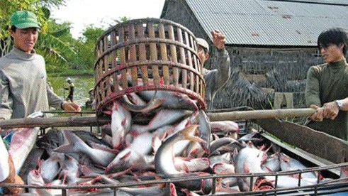 Mekong Delta trade promotion conference opens - ảnh 1