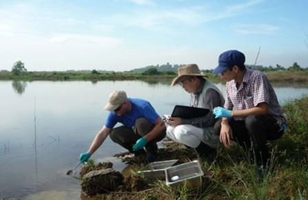 Resolving dioxin contamination in Bien Hoa airport, Dong Nai province - ảnh 1