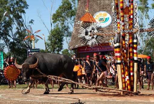 The Ba Na in the Central Highlands - ảnh 3