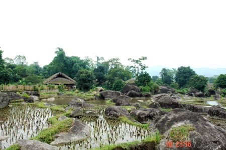 Stilt-house of the Tay in Ha Giang province - ảnh 3