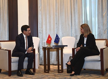 Vietnam wants to enhance relations with EU - ảnh 1