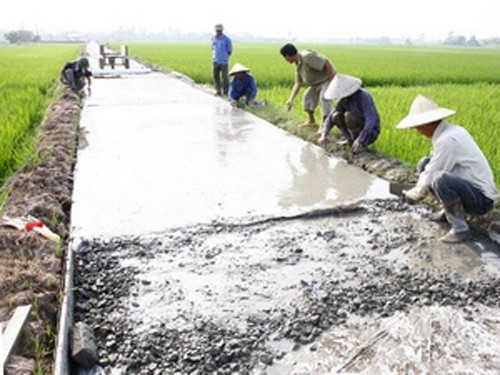 50% of communes achieve new rural standard in 2020 - ảnh 1