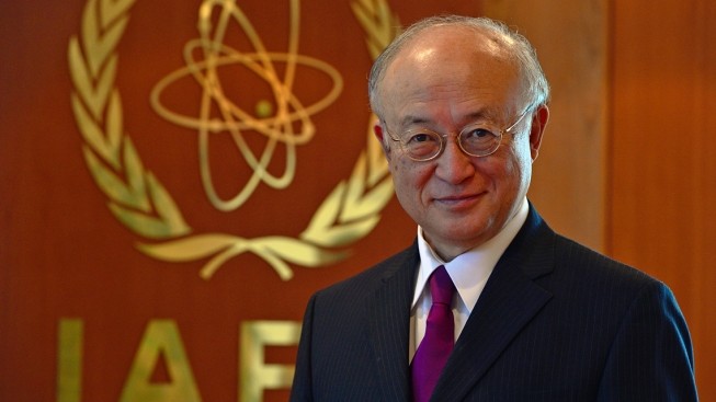 IAEA warns of global nuclear terrorists - ảnh 1