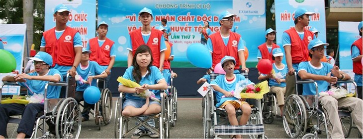 Appealing resources to support AO victims  - ảnh 1