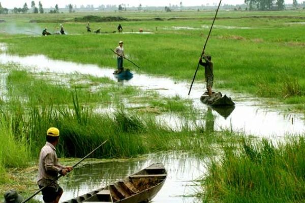 Enhancing multi-lateral cooperation in sustainable use of the Mekong River - ảnh 1