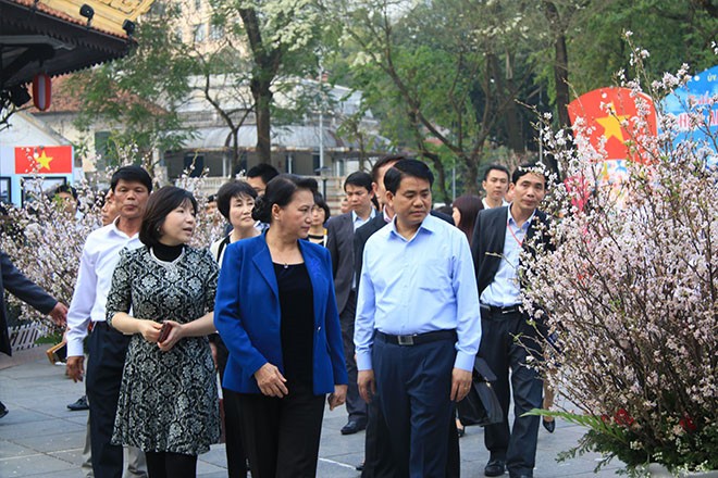 NA Chairwoman visits cherry blossom festival  - ảnh 1