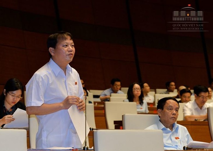 Legislators propose drafting 16 bills - ảnh 1