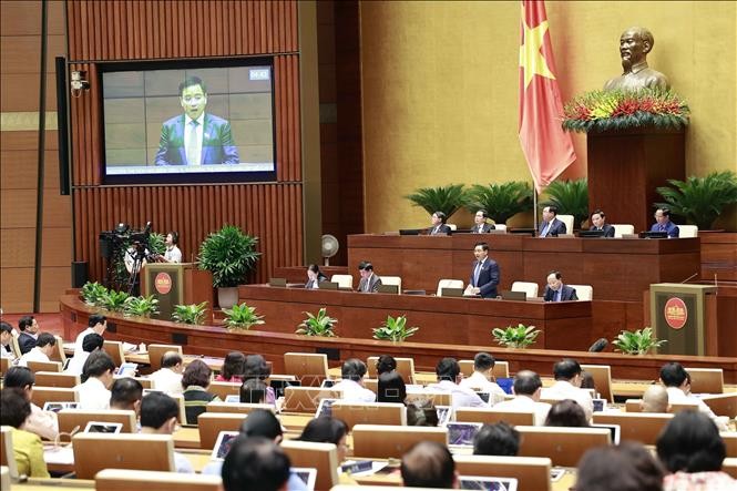 Democracy, responsibility ensured at legislative Q&A session - ảnh 1