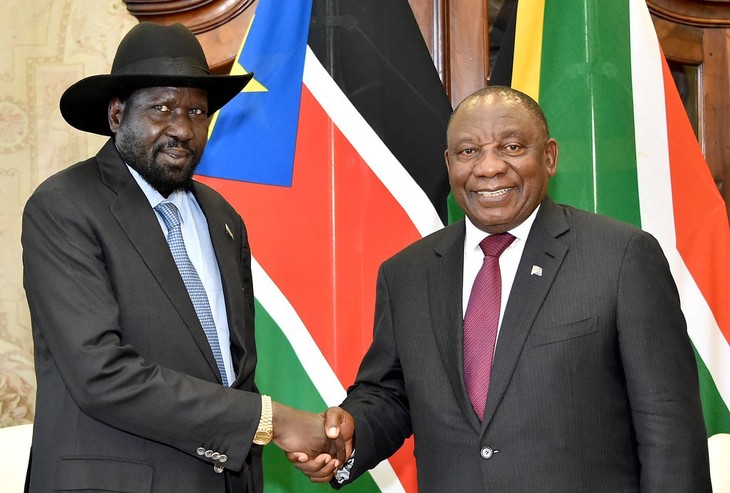 Presidents of South Africa, South Sudan discuss regional issues - ảnh 1