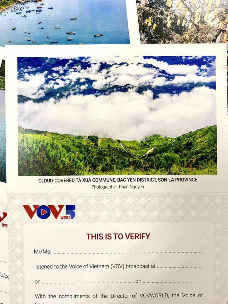 Wednesday November 15, 2023 - ảnh 3