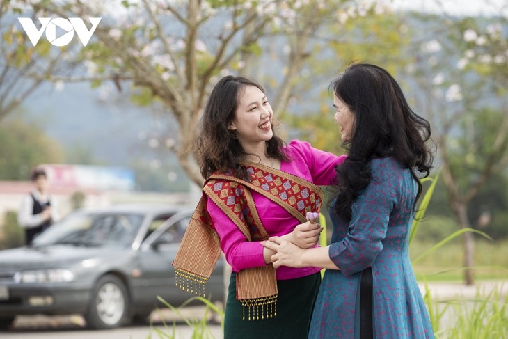 Dien Bien basking in bauhinia blooming season - ảnh 2