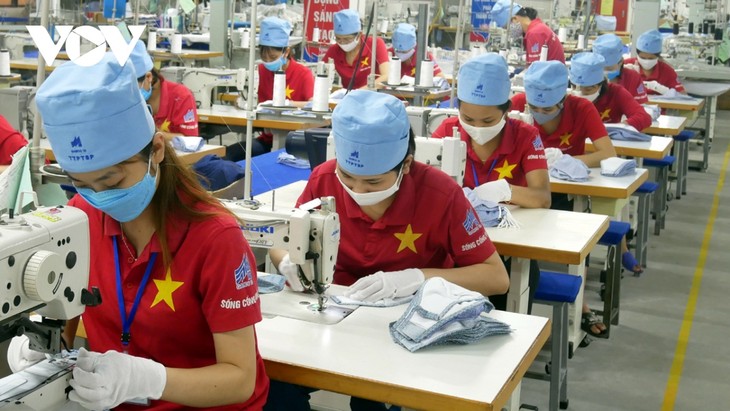 Apparel sector sees positive signs - ảnh 1