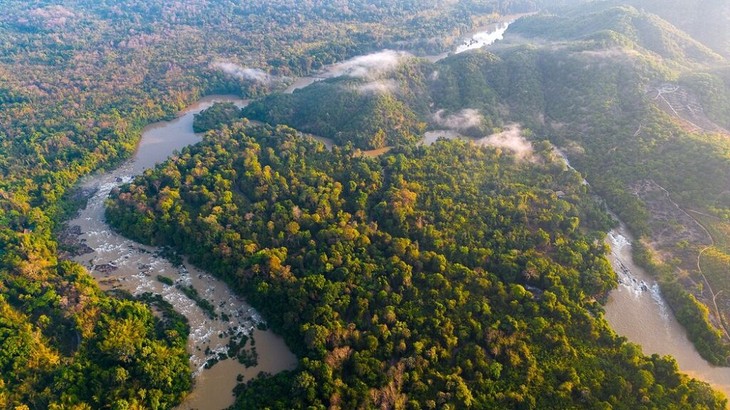 Cat Tien National Park named Green List of IUCN - ảnh 1