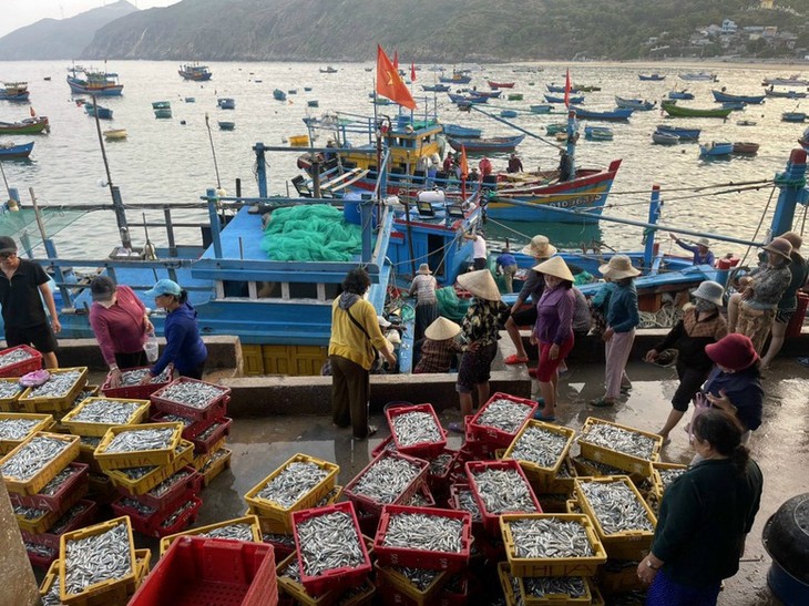 Measures against IUU fishing tightened  - ảnh 1