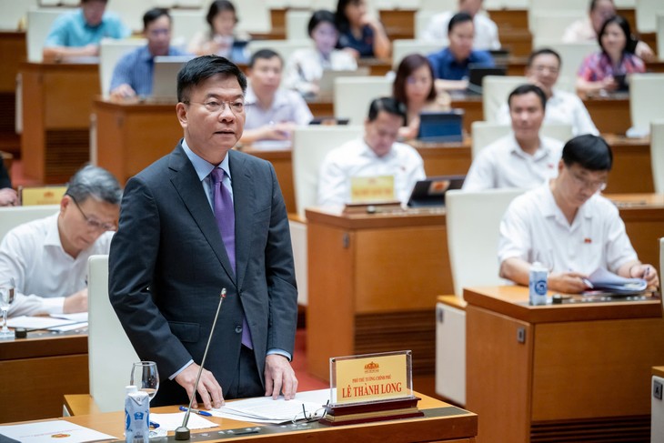 Deputy Prime Minister Le Thanh Long questioned at National Assembly - ảnh 1