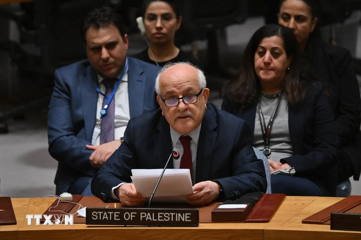 Palestine’s new rights at UN General Assembly - ảnh 1