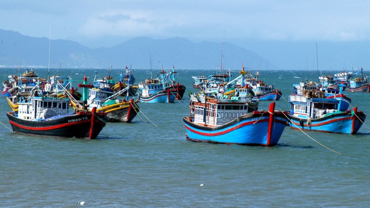 Phu Yen province combats IUU fishing - ảnh 1