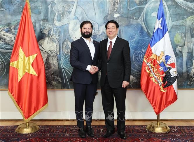 Vietnam, Chile strengthen comprehensive partnership - ảnh 1