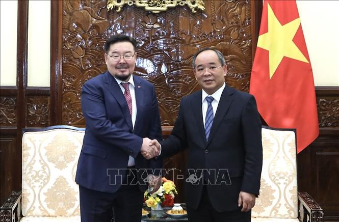 Vietnam, Mongolia strengthen cooperation between presidential offices - ảnh 1