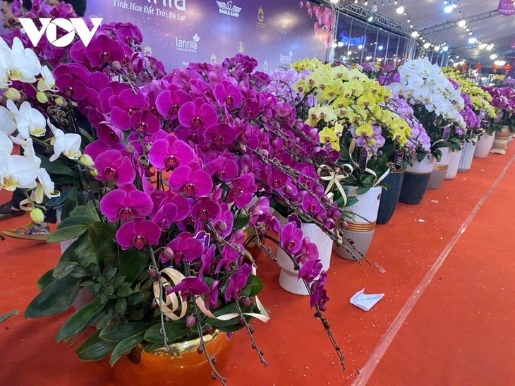 Flower markets crowded before Tet - ảnh 1