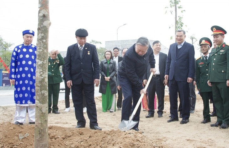 Tree plating festivals celebrated nationwide - ảnh 1