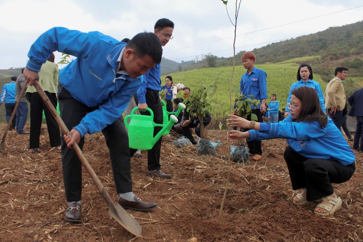 Tree plating festivals celebrated nationwide - ảnh 3