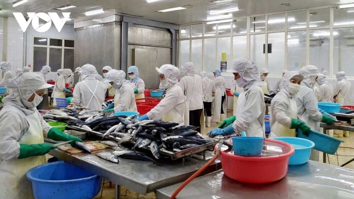 Seafood exports continue to see strong growth - ảnh 1
