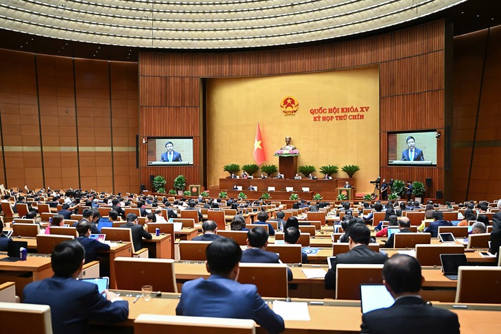 Historic milestones reached at mid-year National Assembly session - ảnh 1