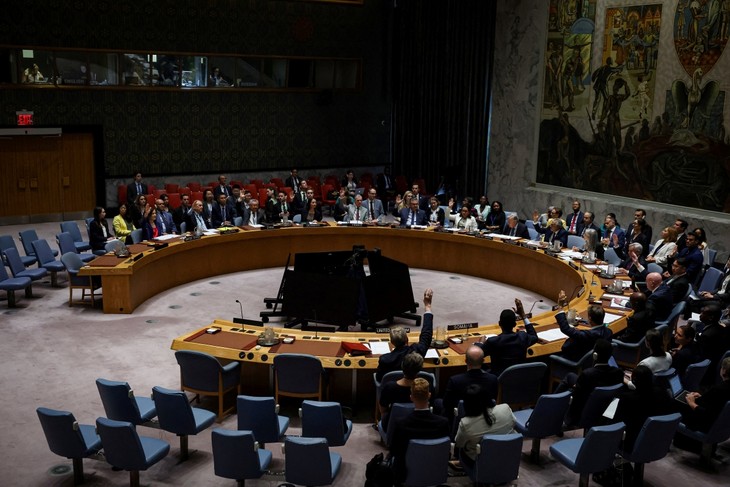 UNSC adopts resolution on peaceful settlement of disputes - ảnh 1
