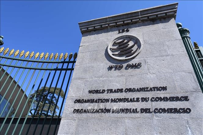 WTO lowers global trade growth forecast for 2026 - ảnh 1