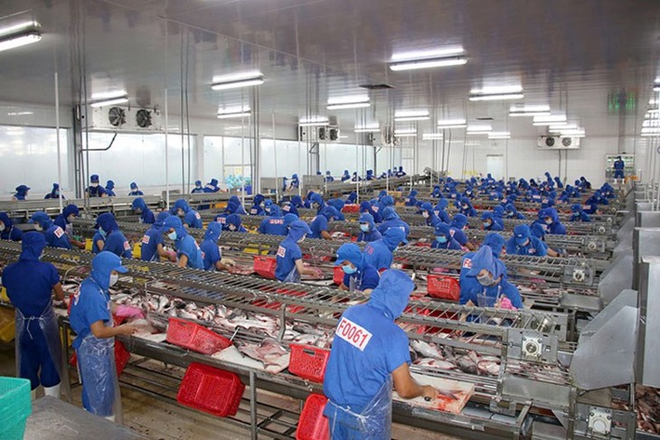 Vietnam’s export growth forecast to be 12% in 2025 - ảnh 1