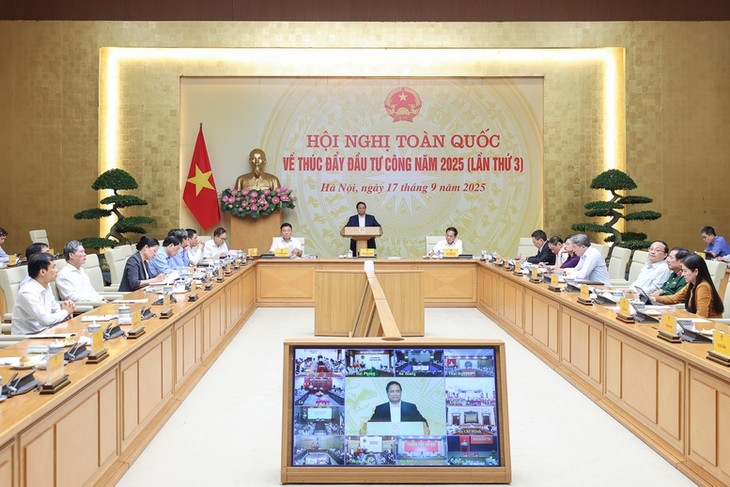 Prime Minister wants public investment to be growth driver - ảnh 1