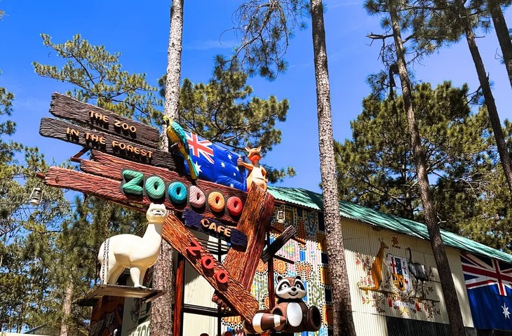 One day in Zoodoo Zoo with fascinating experience - ảnh 1