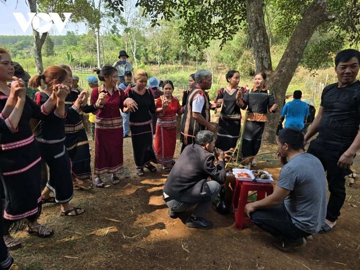 Jrai’s rain praying ceremony showcases harmony of people, nature, and faith - ảnh 3