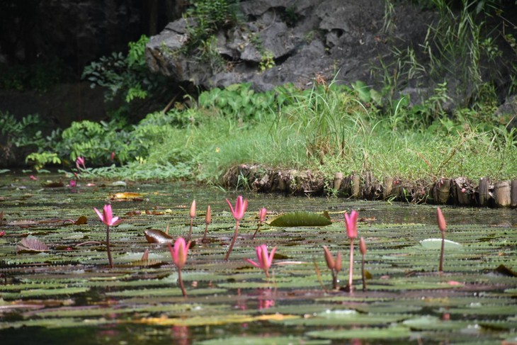 Wednesday October 8, 2025 - ảnh 2