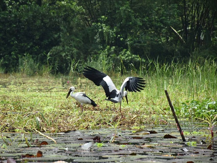 Wednesday October 8, 2025 - ảnh 3